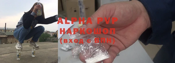 стаф Кулебаки