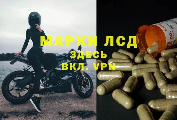 PSILOCYBIN Нефтегорск
