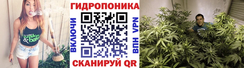 мориарти состав закладки Кондрово Конопля гибрид ОМГ ОМГ ССЫЛКА